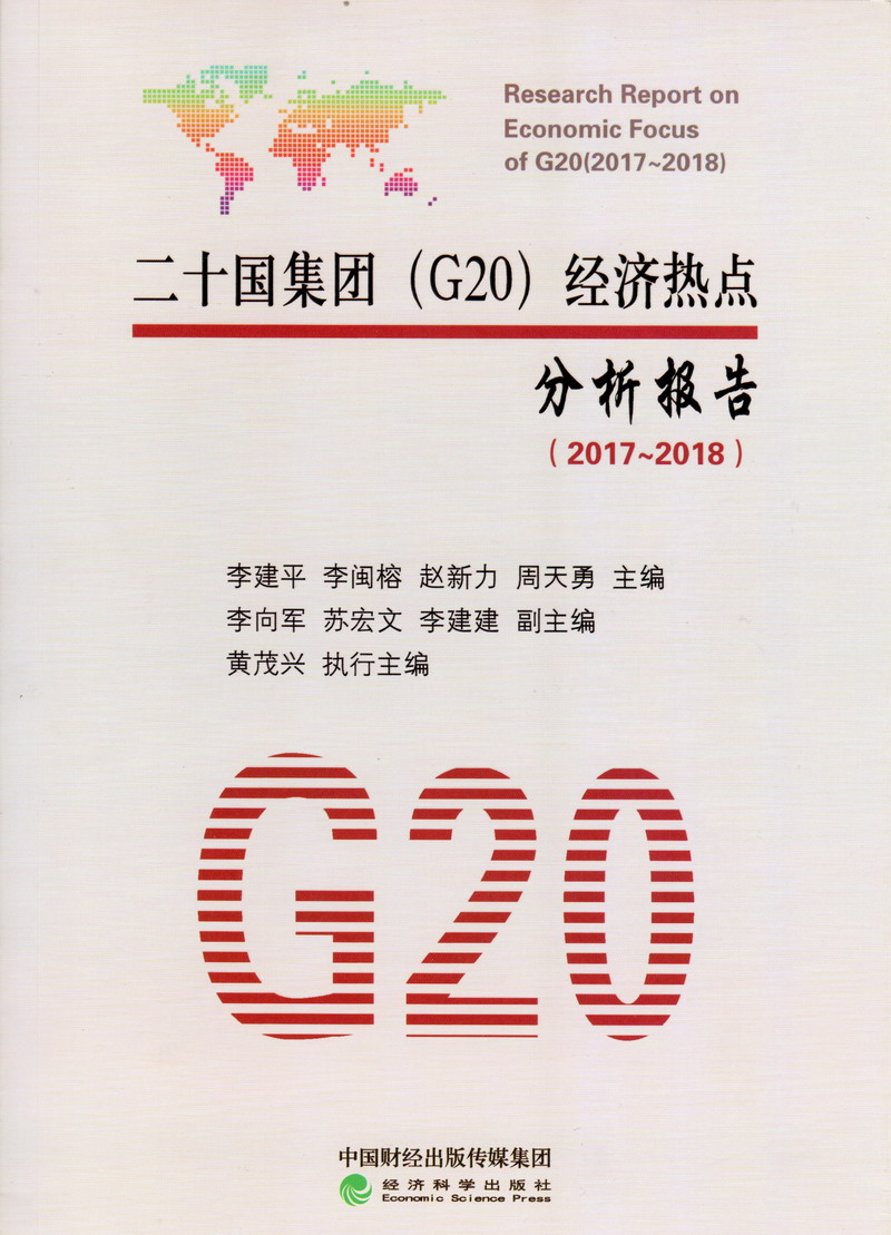 操胖老太太B二十国集团（G20）经济热点分析报告（2017-2018）